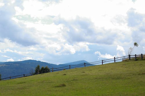 View of a Grass Field in the Countryside in Mountains