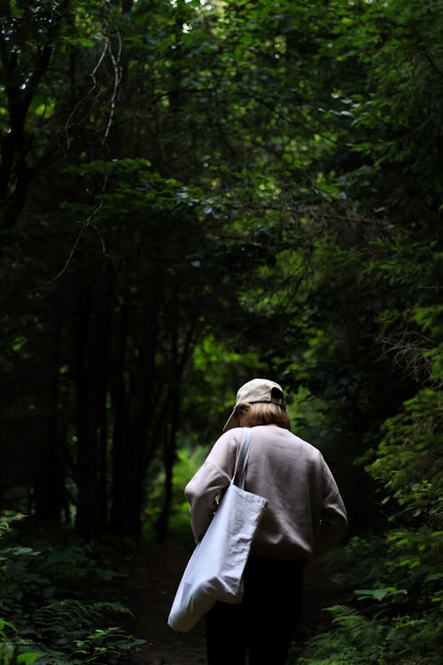 Fotobanka s bezplatnými fotkami na tému chôdza, les, leto