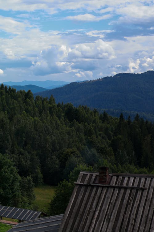 垂直拍摄, 夏天, 屋頂 的 免费素材图片