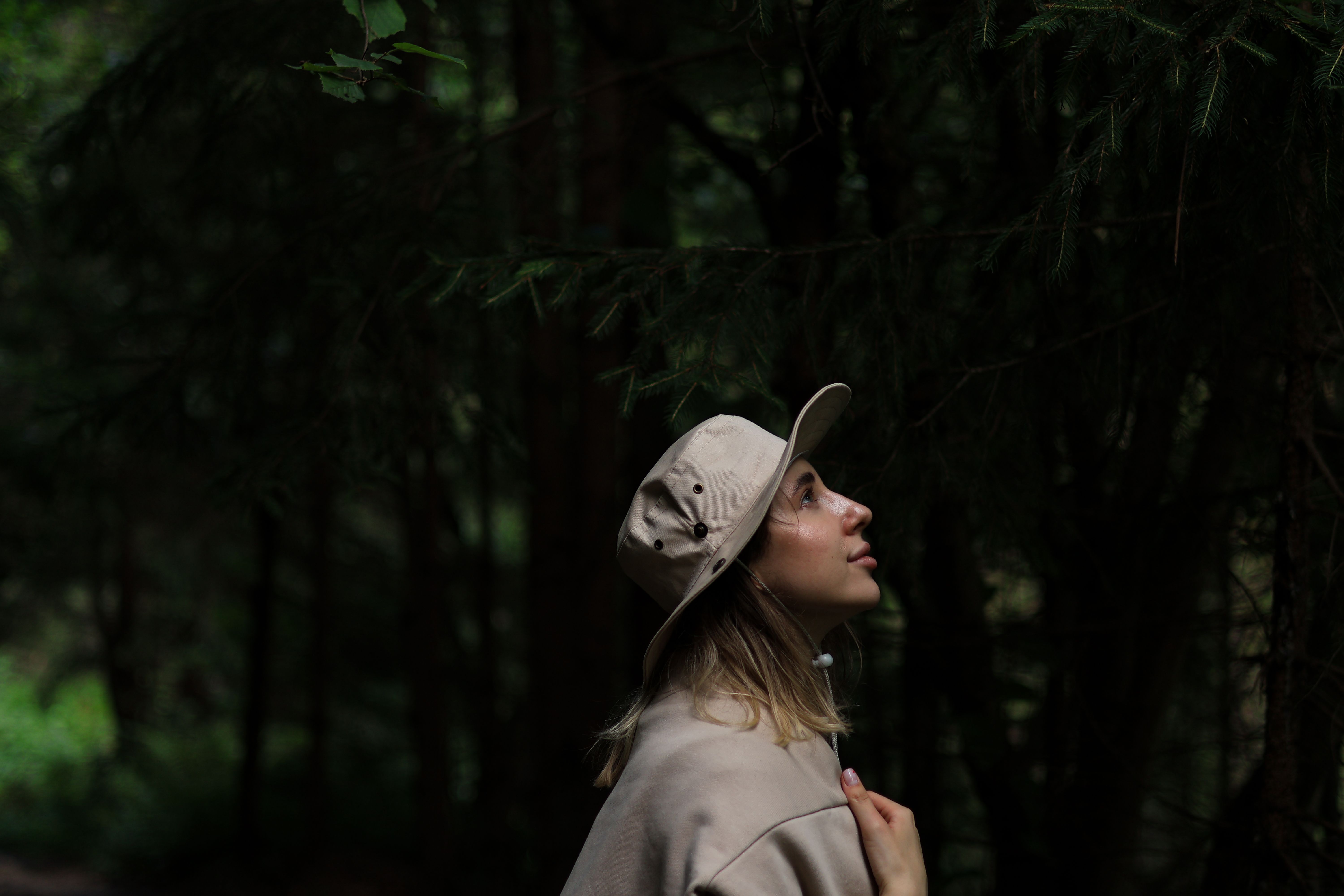 Forest Bathing Photos, Download The BEST Free Forest Bathing Stock ...