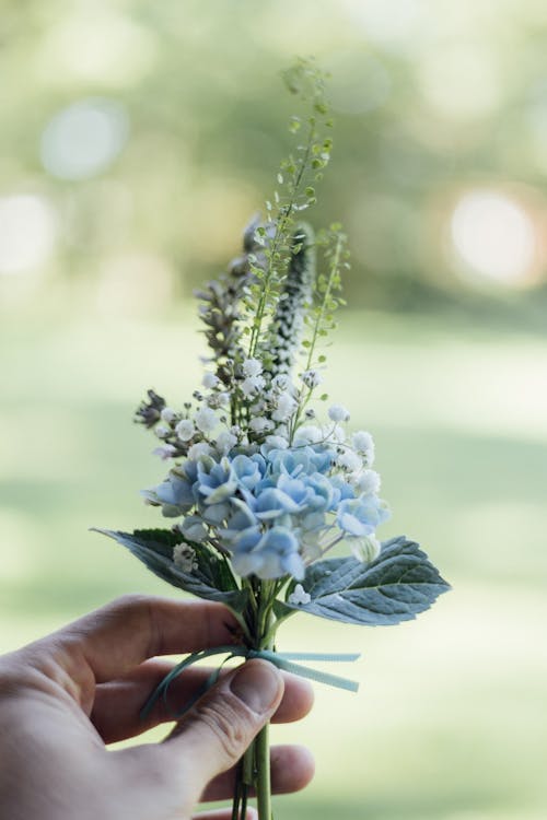 Hand Holding a Bouquet of Flowers 