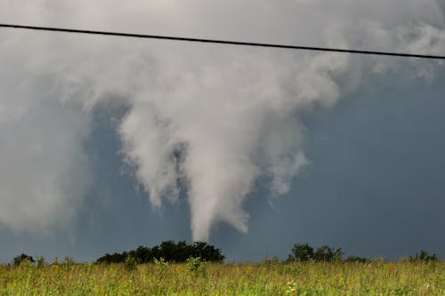 Foto d'estoc gratuïta de clima extrem, ocells, platja