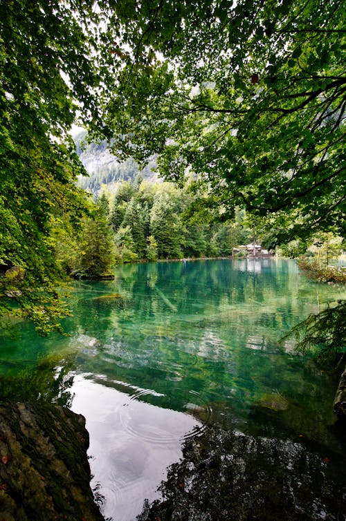 Základová fotografie zdarma na téma idylický, jezero, krajina