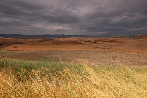 Free Moody rural landscape with fields under dramatic storm clouds. Stock Photo