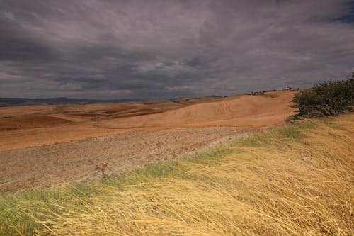 Rural Fields under a Storm Cloud 
