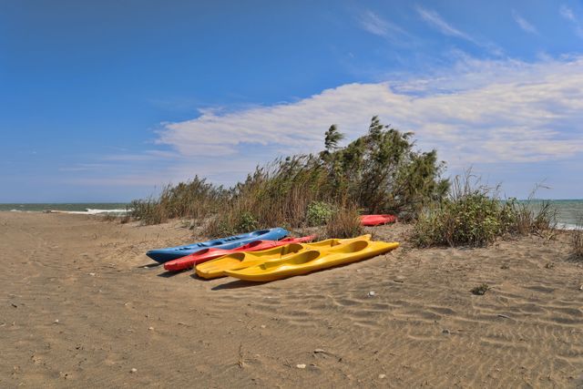 Kayaks de colores en la arena listos para alquilar