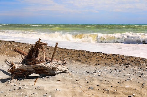 Immagine gratuita di acqua, italy, mare