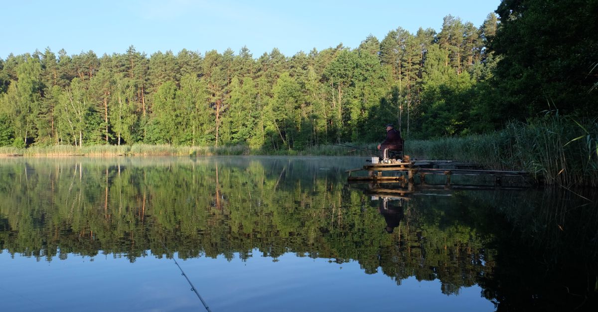 Wedkarz na pomoście nad spokojnym jeziorem otoczonym lasem