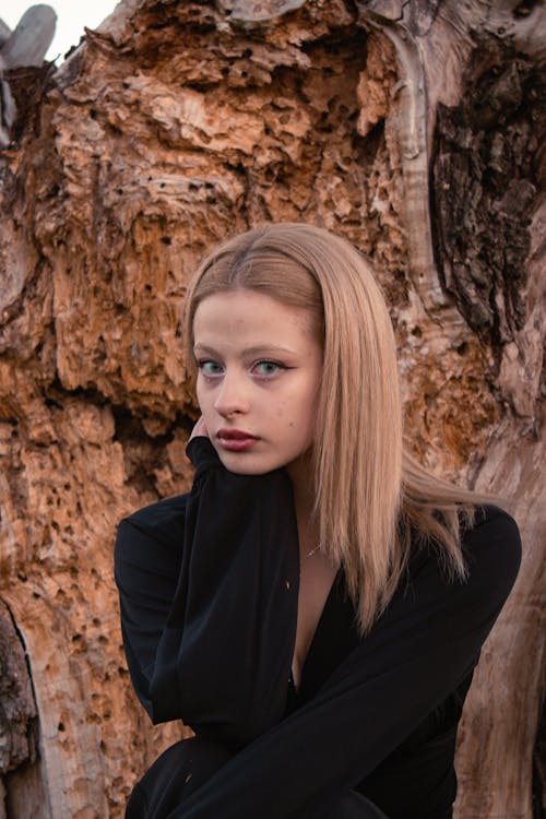 Foto profissional grátis de cabelo comprido, elegância, fotografia de moda