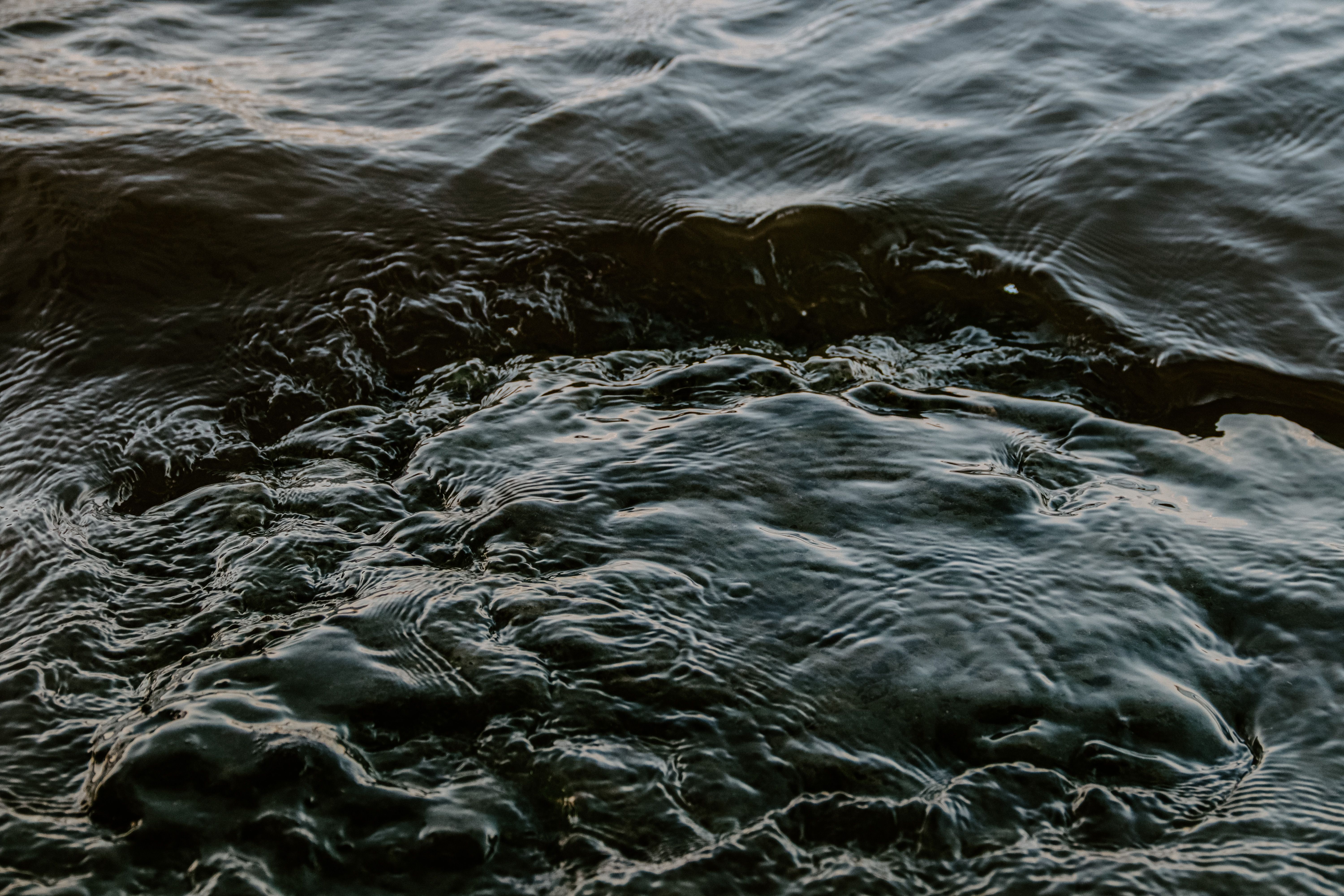 Water contamination cases that led to major industrial accountability reforms