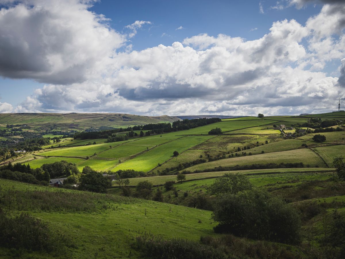 4 Day Shamanic Sweat Lodge & Ayurvedic Yoga Cleanse in the UK 2