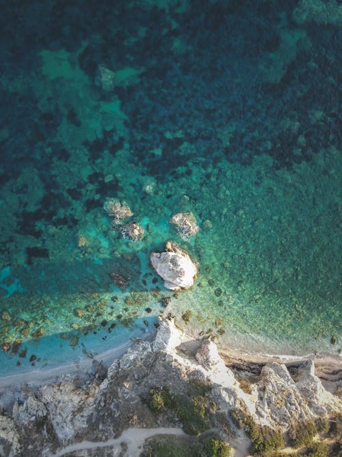 Top View of Sea and a Coast 