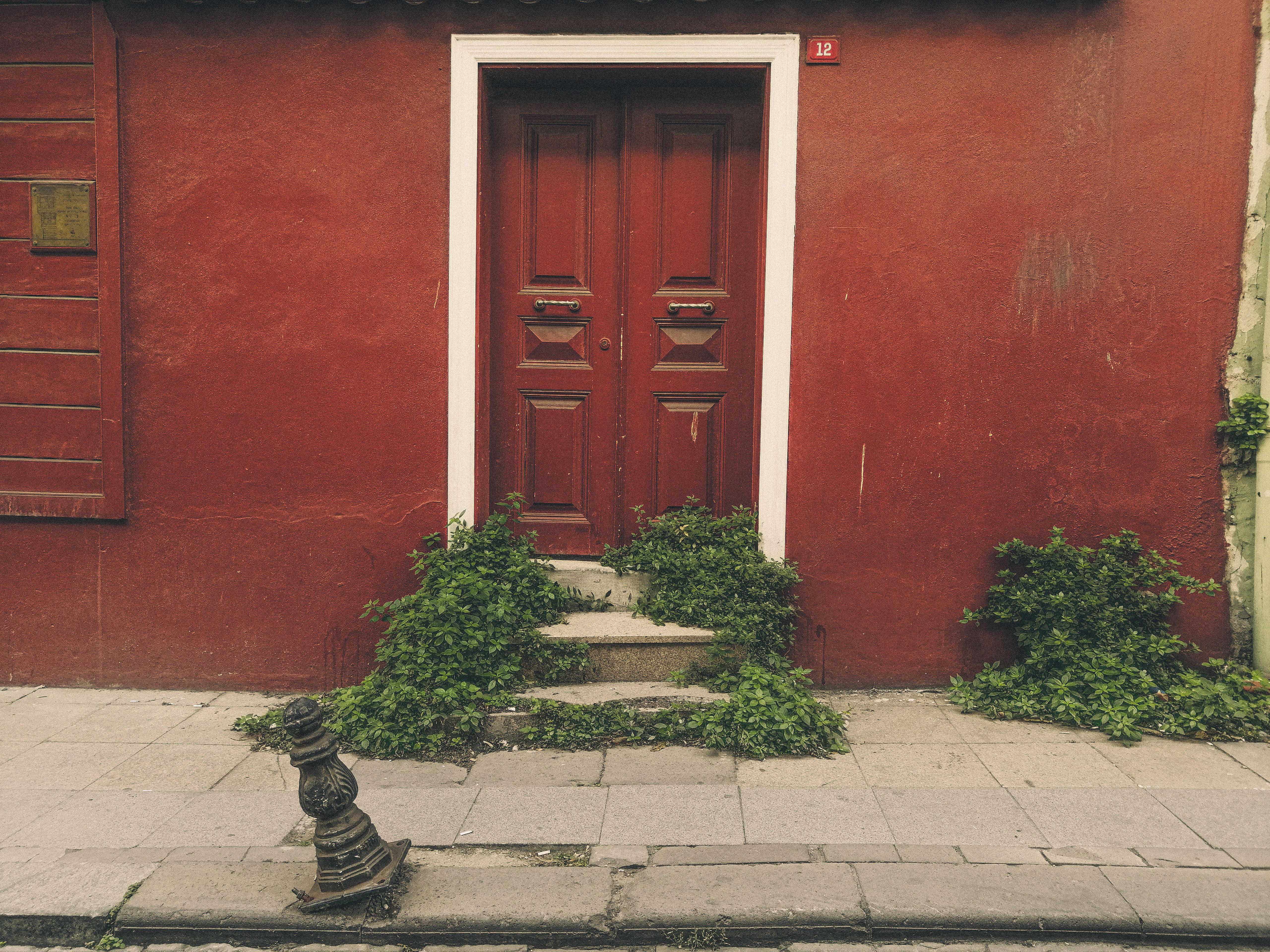 A charming red door with overgrown greenery on an urban street, showcasing rustic architecture.