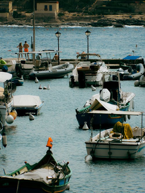 Motorboats Moored on Shore