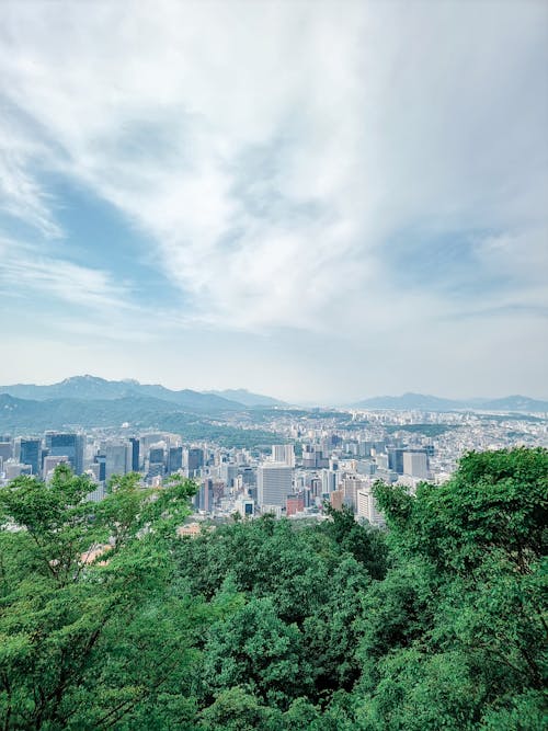 Ingyenes stockfotó Dél-Korea, ég, erdő témában