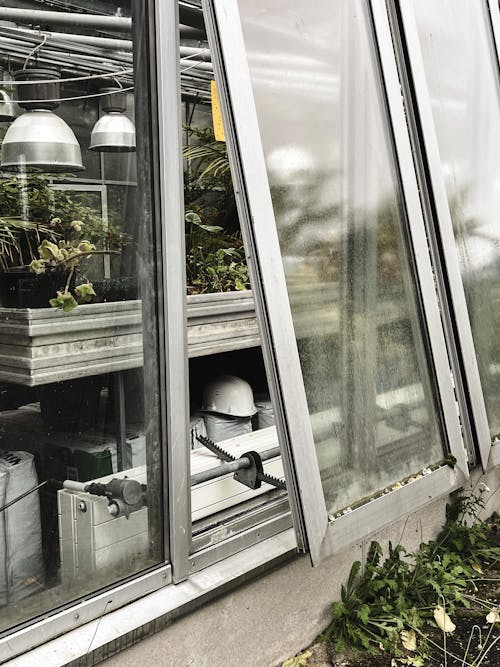 Open Window in Greenhouse