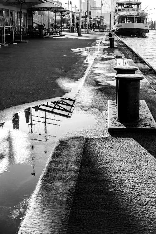 Foto d'estoc gratuïta de bassal, blanc i negre, carrer