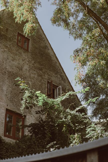 A historic building in Hamburg with a lush ivy-covered facade and tall trees, highlighting architectural details.
