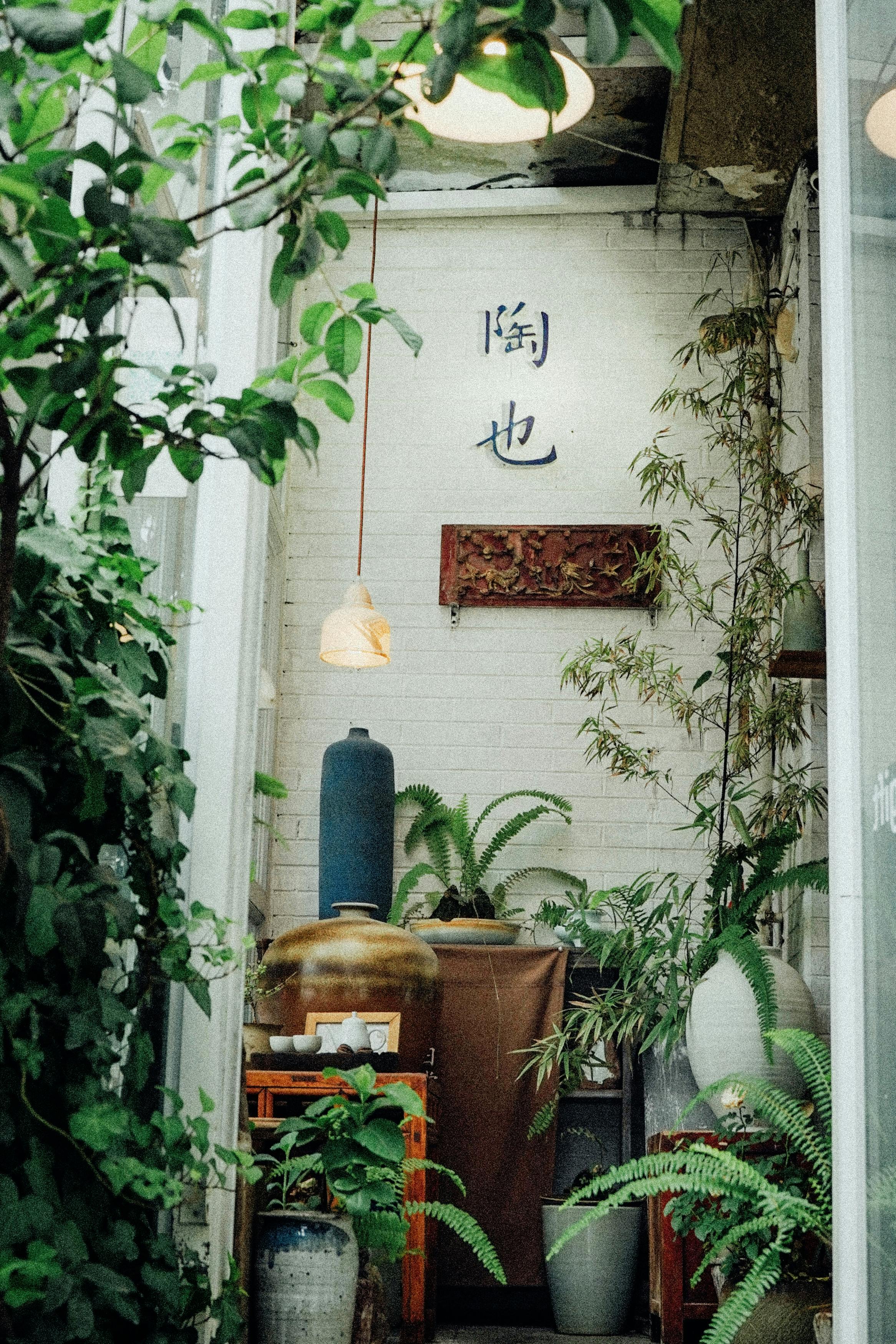 Free Lush indoor garden corner with potted plants and Chinese decor. Stock Photo