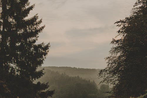 Foto profissional grátis de árvores, cênico, colinas