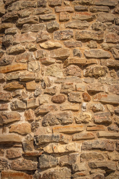 Kostenloses Stock Foto zu felsen, mauer, nahansicht