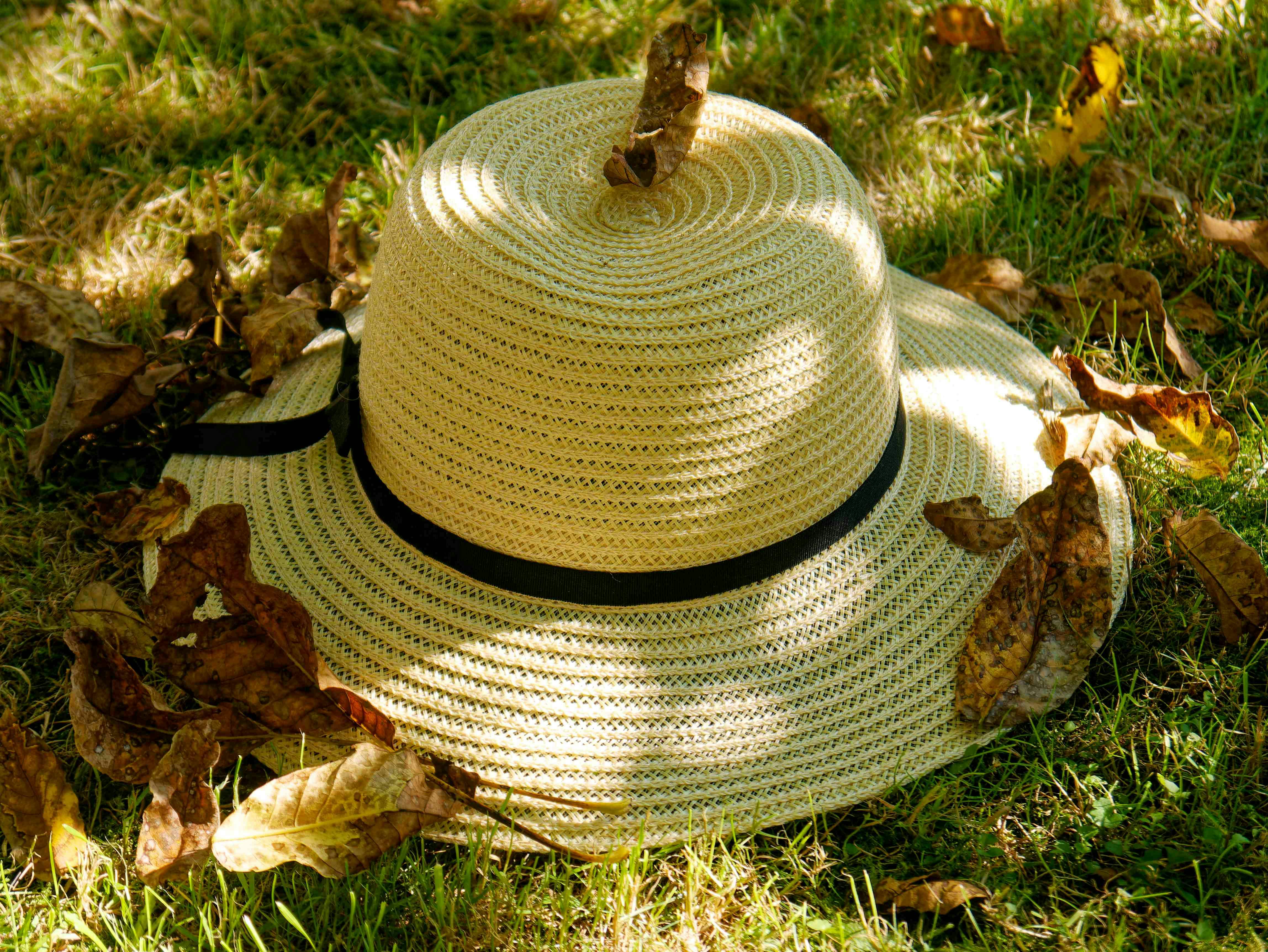 gardening leave — Photo by Sabine Freiberger on Pexels