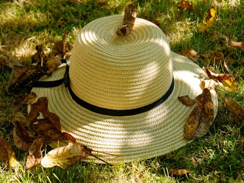 Wicker Hat on Grass