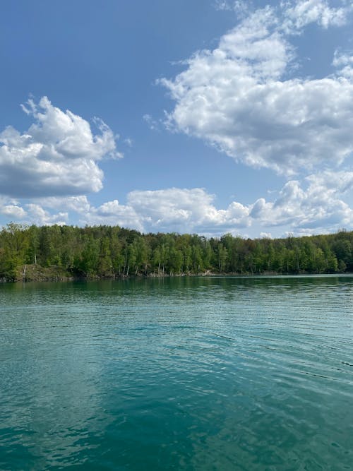 Imagine de stoc gratuită din albastru, arbori, calm