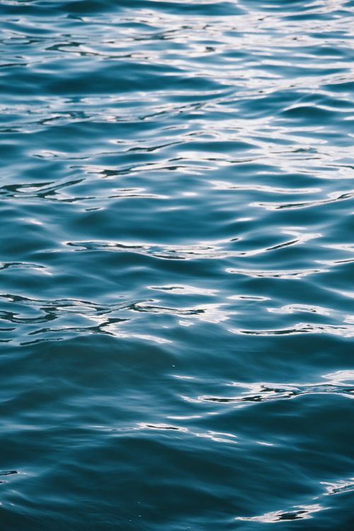 Free Tranquil ocean waves reflecting the sunlight, creating a serene and calming atmosphere. Stock Photo