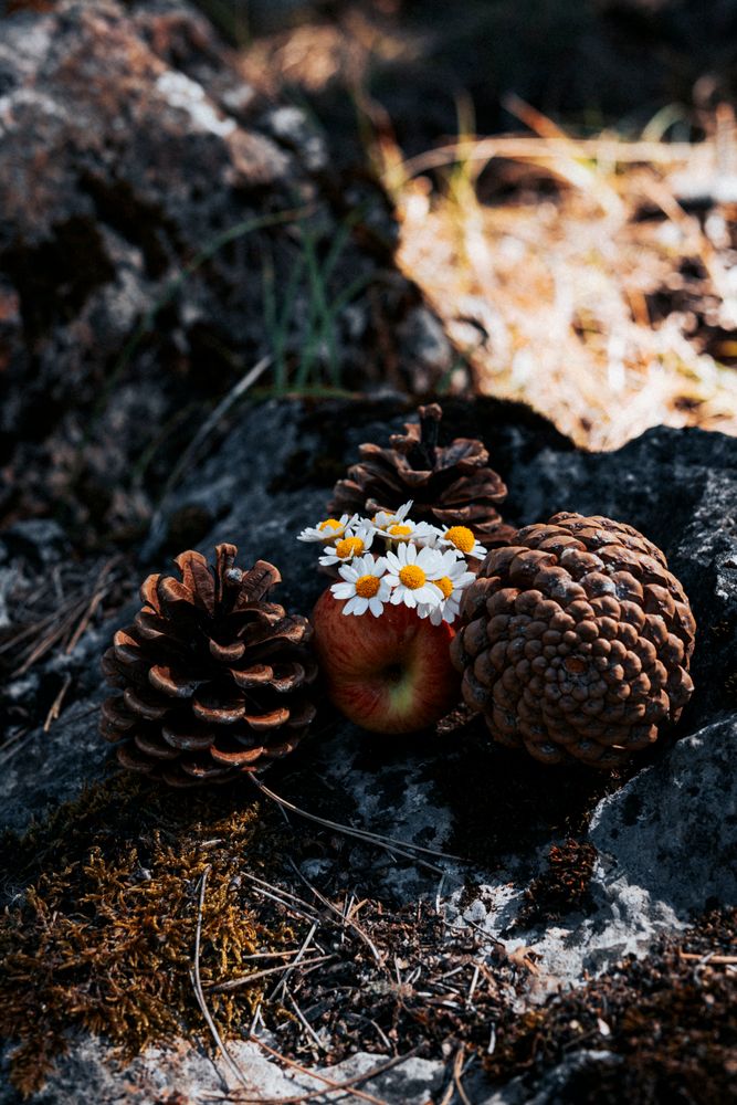 7.000+ Foto Apel Terbaik · Unduh Gratis 100% · Foto Stok Pexels