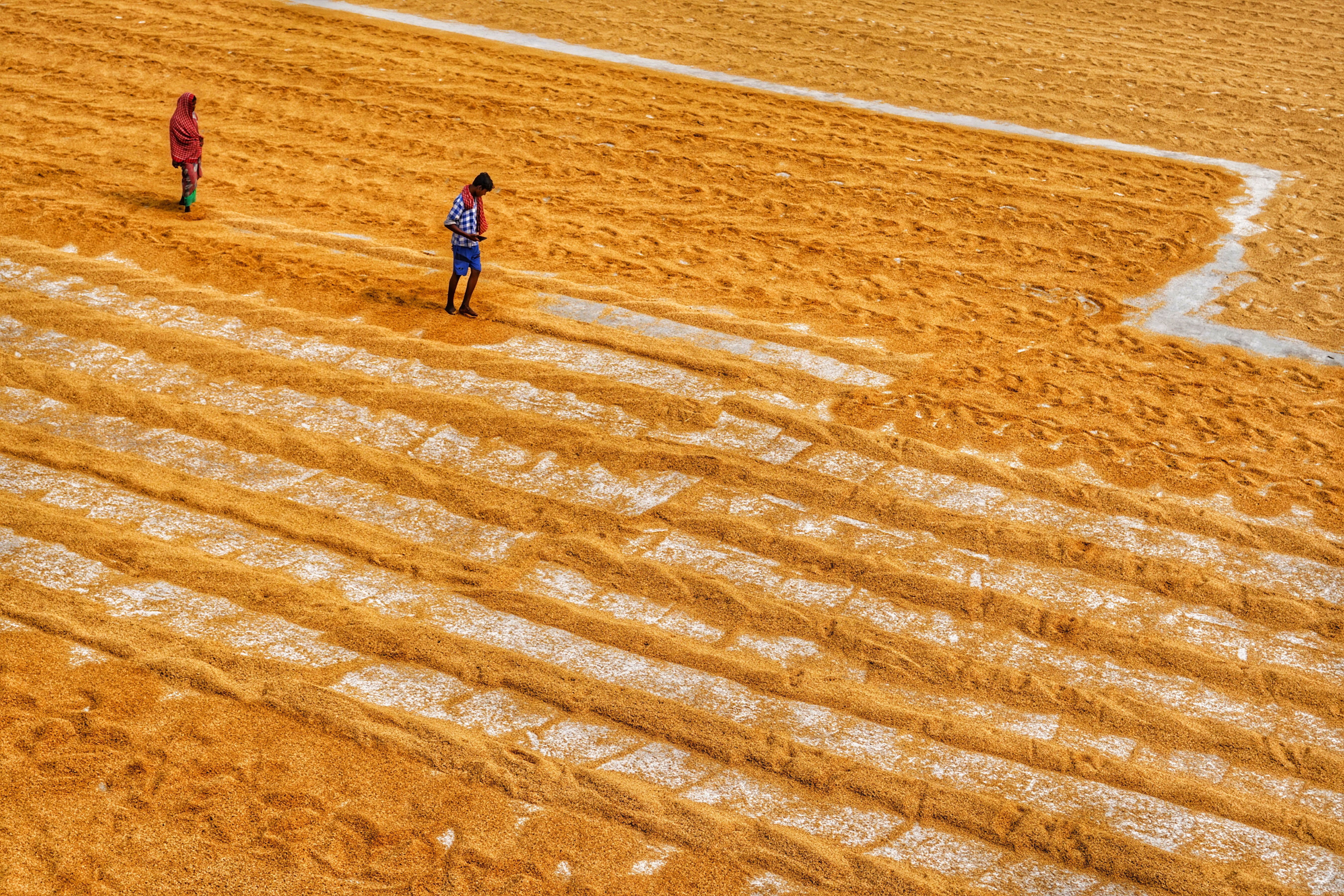 Rural life 3 · Free Stock Photo