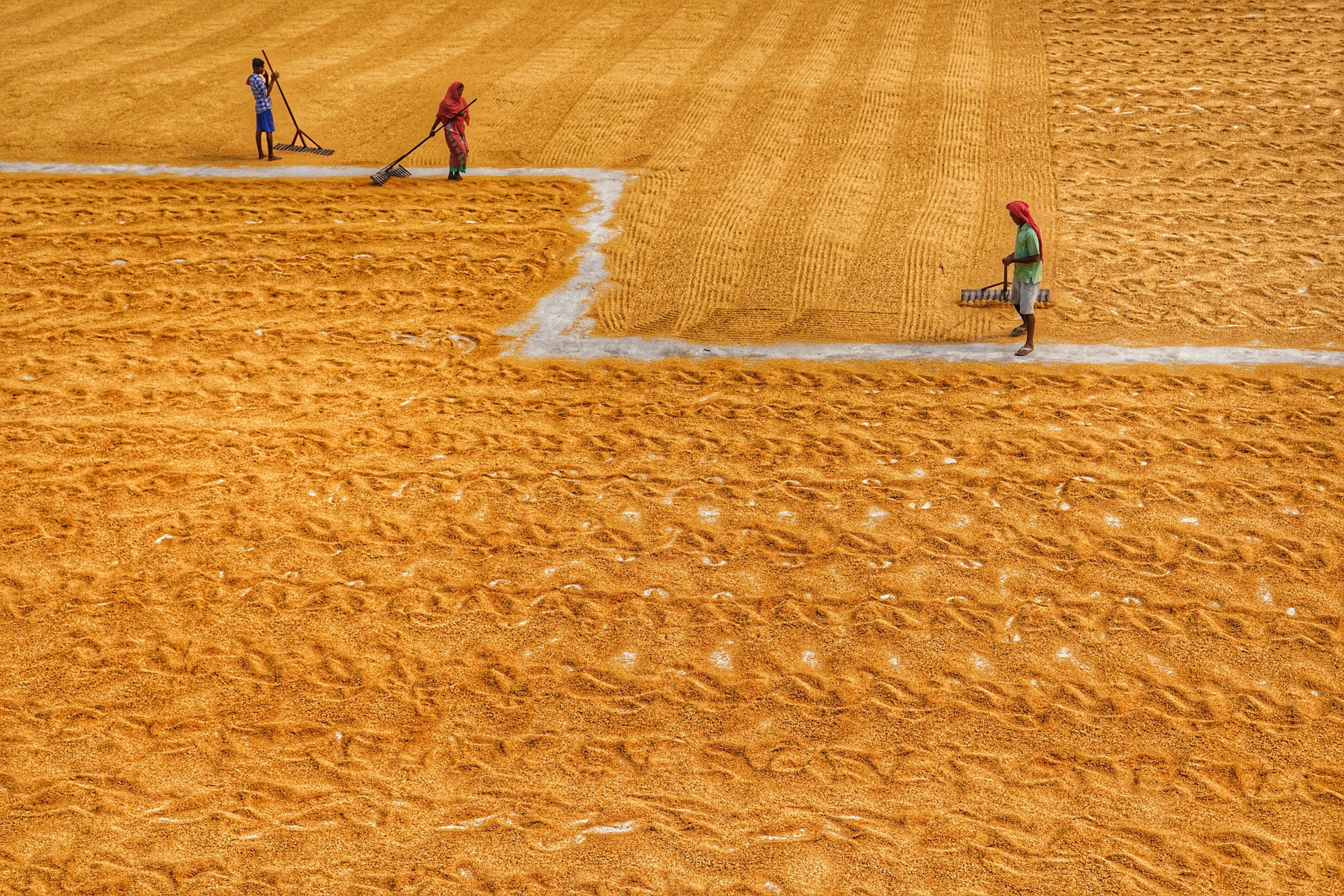 Rural life 10. · Free Stock Photo