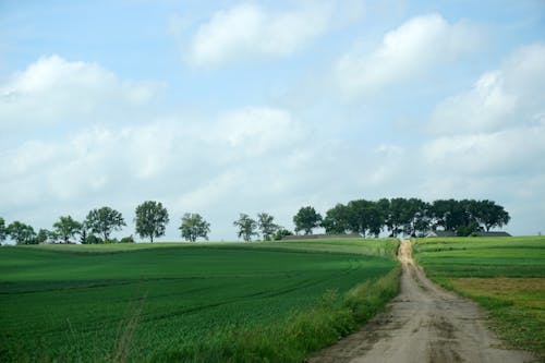 A Road and Fields in the Countryside