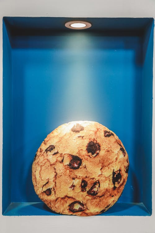 bezplatná Základová fotografie zdarma na téma čokoládový čip cookie, cookies, lahodný Základová fotografie