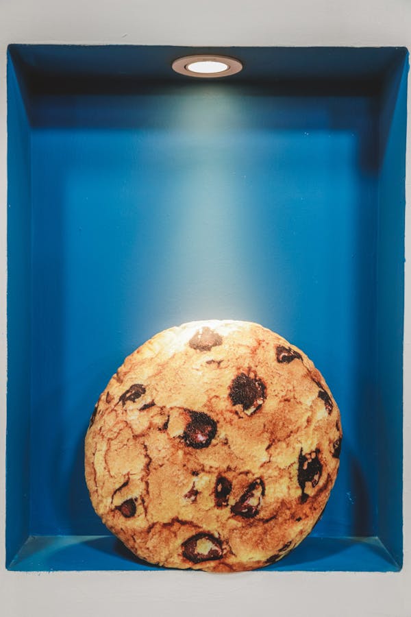 Cookie on Box