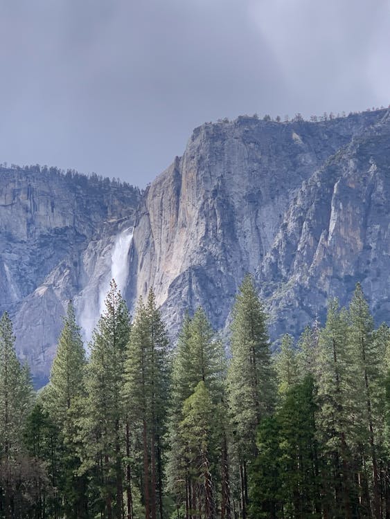 カリフォルニア, ヨセミテ国立公園, ランドマークの無料の写真素材