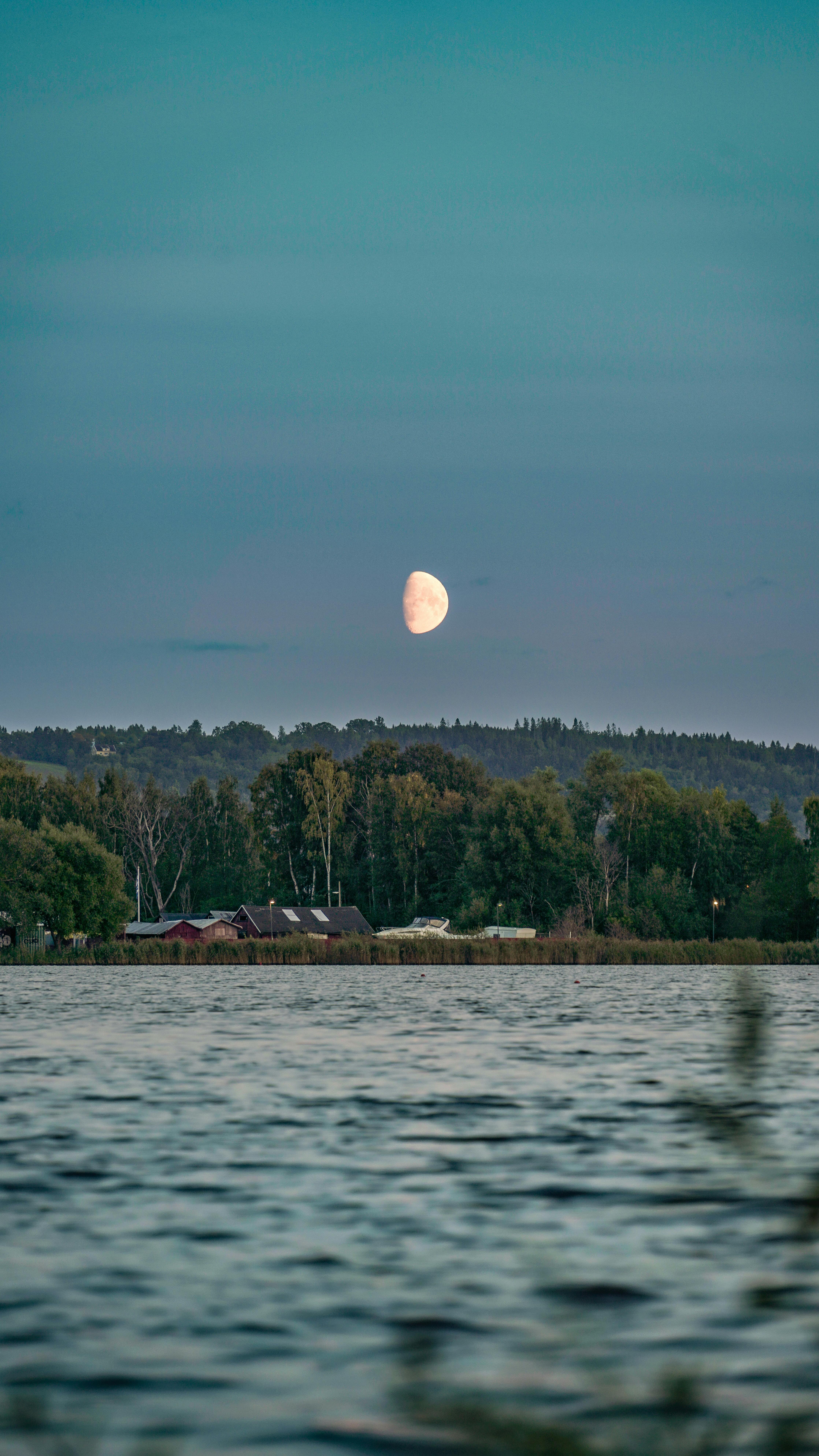 Serene countryside scene with moon rising over a river and forest trees.