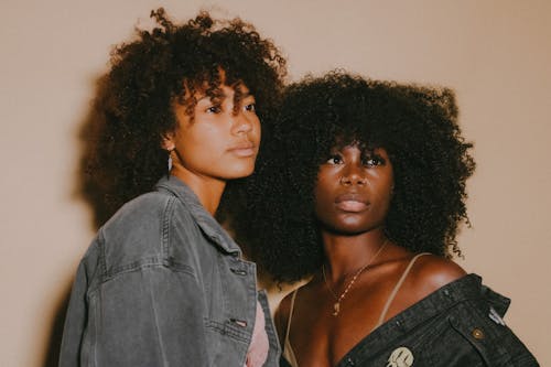 Fotos de stock gratuitas de cabello afro, chaquetas, estudio