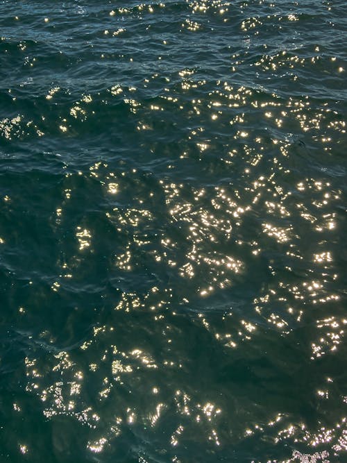 Sunlight Scattered on Water Surface