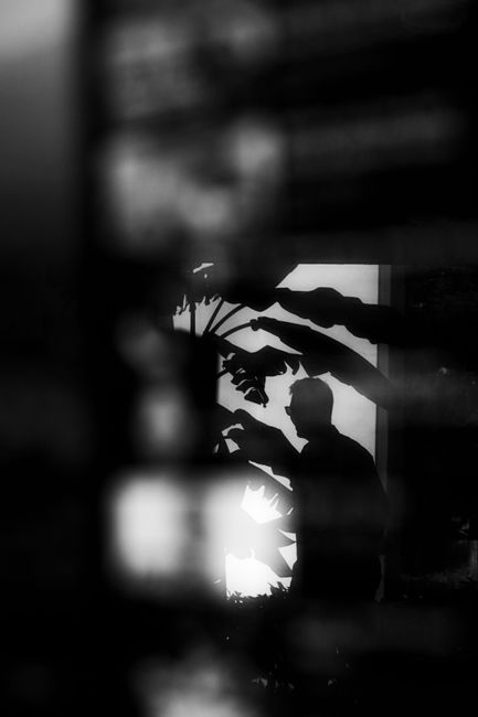 A mysterious silhouette of a man among leaves, captured in the dark ambiance of Antalya.