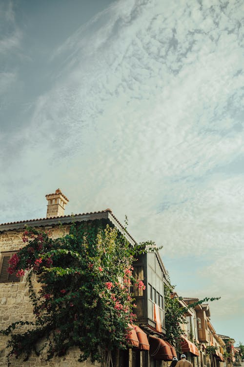 A Building Covered in Ivy