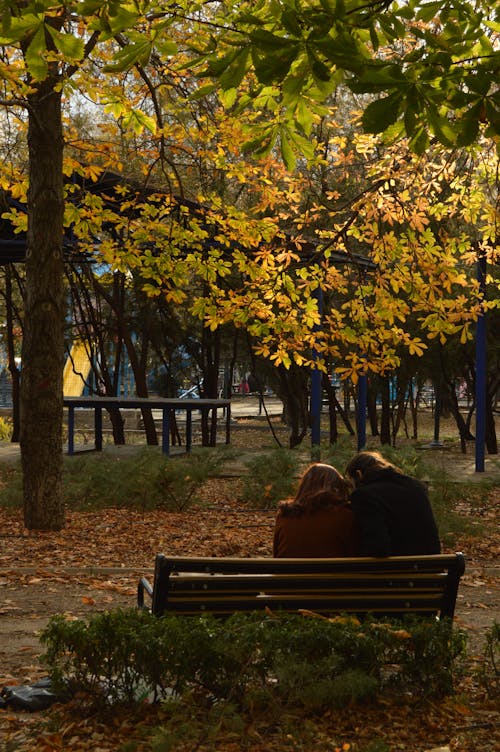 Foto profissional grátis de árvore do outono, assento, casal