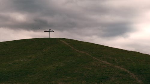 Gratis arkivbilde med ås, gangsti, gressmark