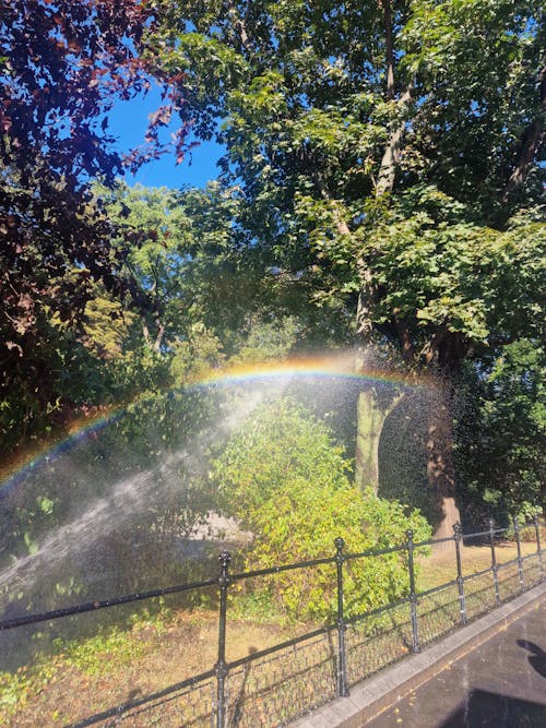 Fotos de stock gratuitas de arco iris, viena