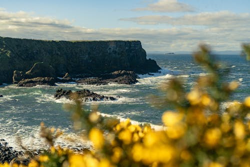 Cliff in Bay on Sea Shore