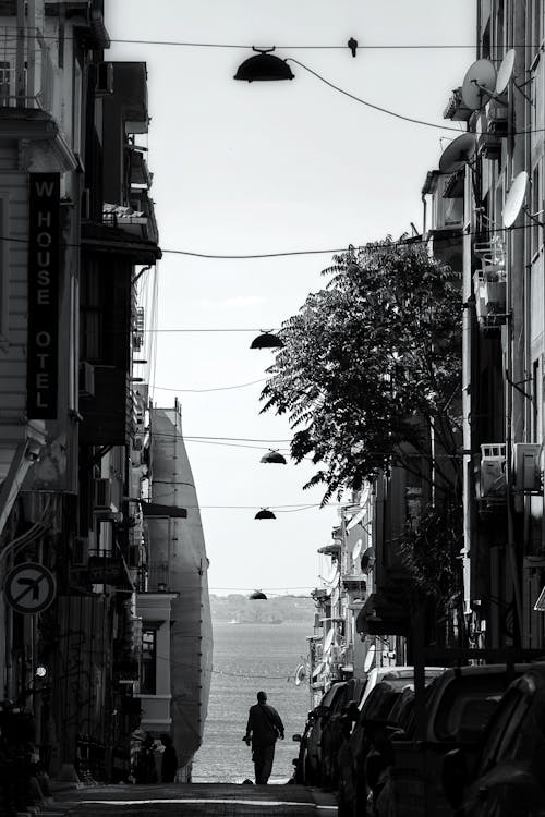 Darmowe zdjęcie z galerii z aleja, chodzić, czarno-biały