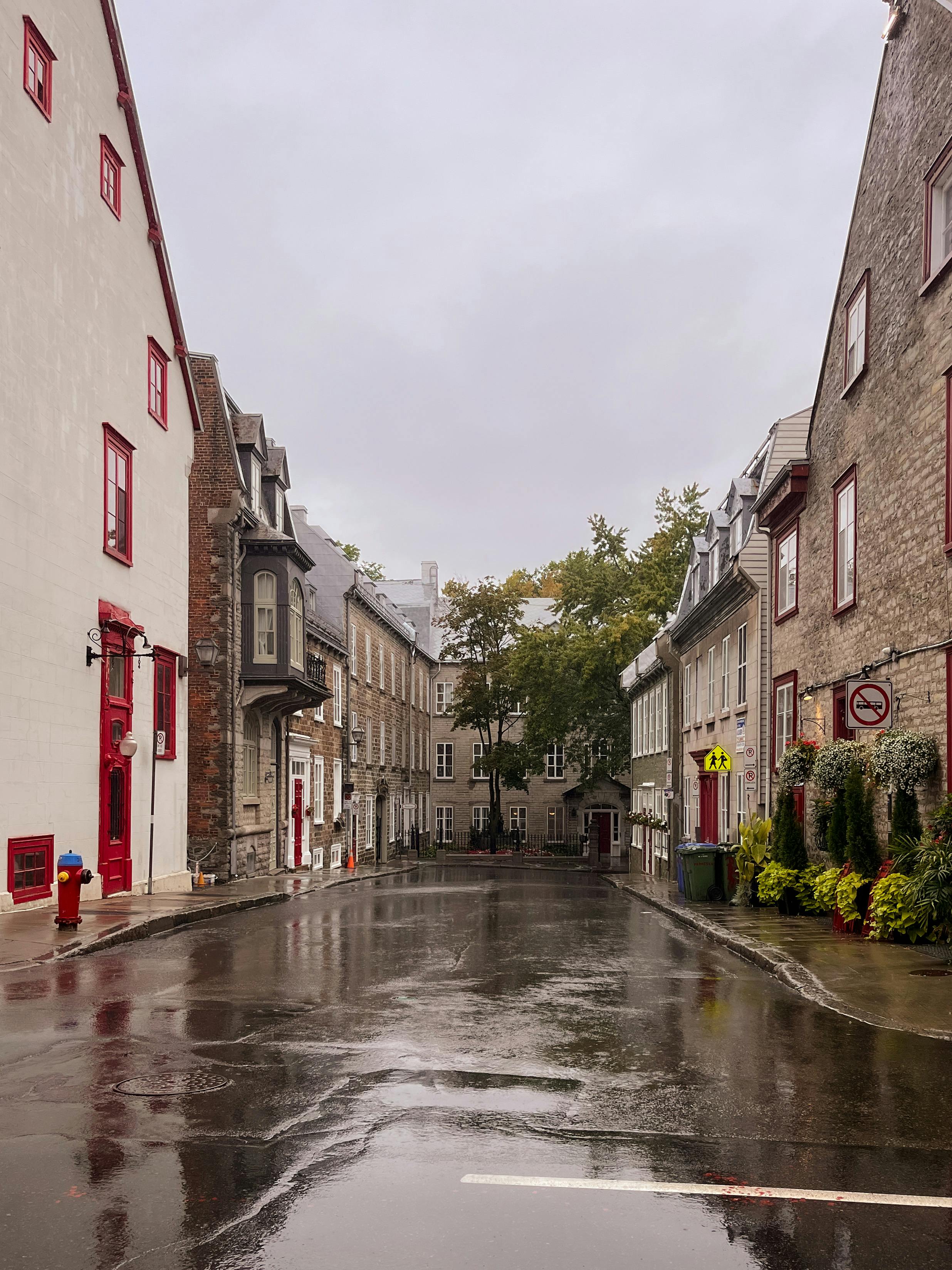 Rain-soaked street reflecting historic buildings in a quaint old town, perfect for city exploration.