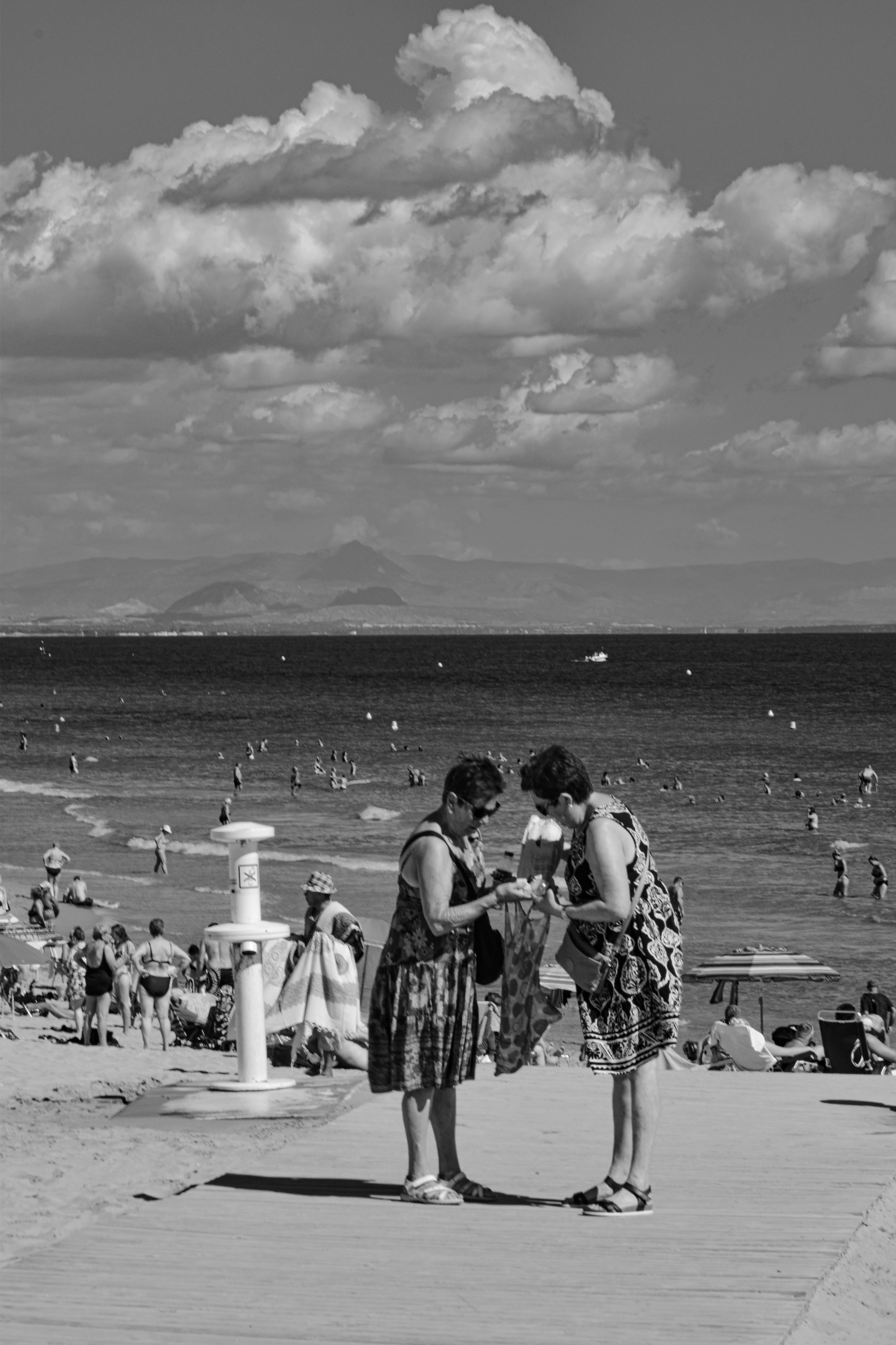 Fotomural Vista monocromática del mar que captura a los veraneantes despreocupados en verano.