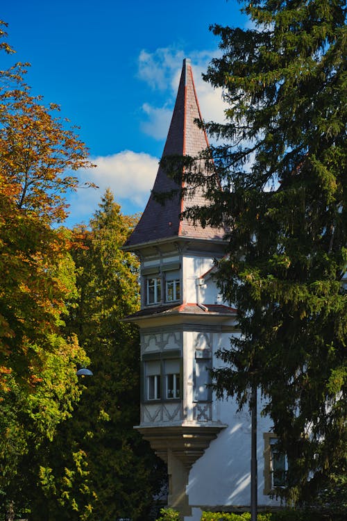 Základová fotografie zdarma na téma budova, domy, dřevo