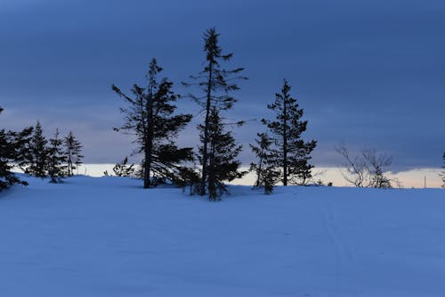 Foto profissional grátis de céu nublado, coberto de neve, inverno